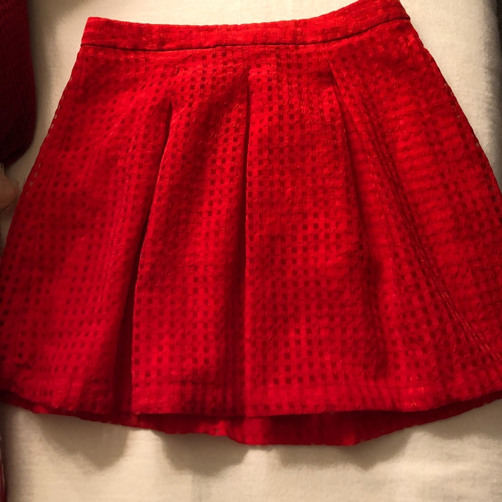 Harlowe & Graham Mini skirt.